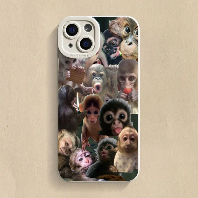 Coque de téléphone drôle avec  - Samsung Galaxy S24 avis et prix